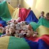 Dzień Pluszowego Misia
