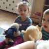 Dzień Pluszowego Misia 