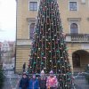 Ozdabianie choinki na Rynku