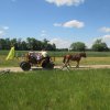 img_1118
