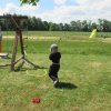 img_1138