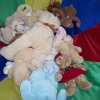 100_8095_resize