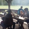 Święto Pieczonego Ziemniaka