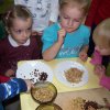 Program \"Akademia Zdreowego Przedszkolaka\"