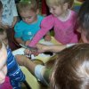 Program \"Akademia Zdreowego Przedszkolaka\"