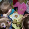Program \"Akademia Zdreowego Przedszkolaka\"