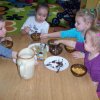 Program \"Akademia Zdreowego Przedszkolaka\"