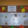 Program \"Akademia Zdreowego Przedszkolaka\"
