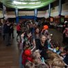 Bal Karnawałowy 2016
