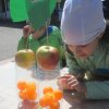 X Międzyprzedszkolny Konkurs Ekologiczny