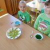 dscn1494_resize