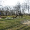 img_0652_resize_resize