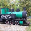 Ciuchcia