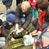 Zielony Dzień i Pierwszy Dzień Wiosny