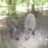 dscn0968