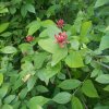 dscn0992