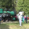 Zajączek w przedszkolu