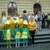 Żonkile niosą nadzieję