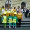 Żonkile niosą nadzieję